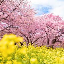 ２０２６年４月の運氣